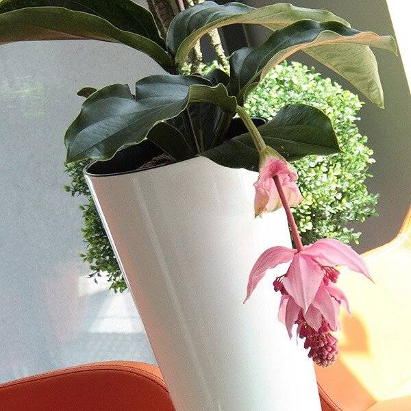 Кашпо для цветов "Prosperplast Tubus Slim Shine", белый, 27+15л