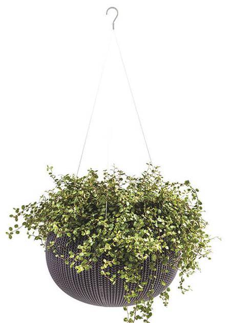 Кашпо Cozies S подвесное Violet 610 Кашпо Cozies S подвесное Violet 610