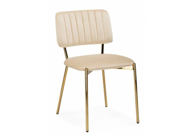 Armond beige / gold